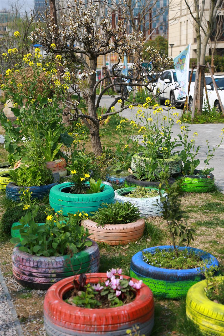 It's the nature of things: Community gardens relieve urban pressures