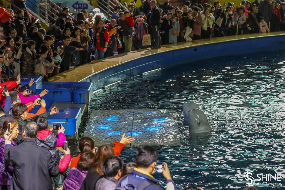 2019 through a photographer's lens