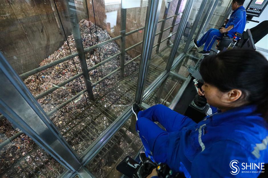 2019 through a photographer's lens