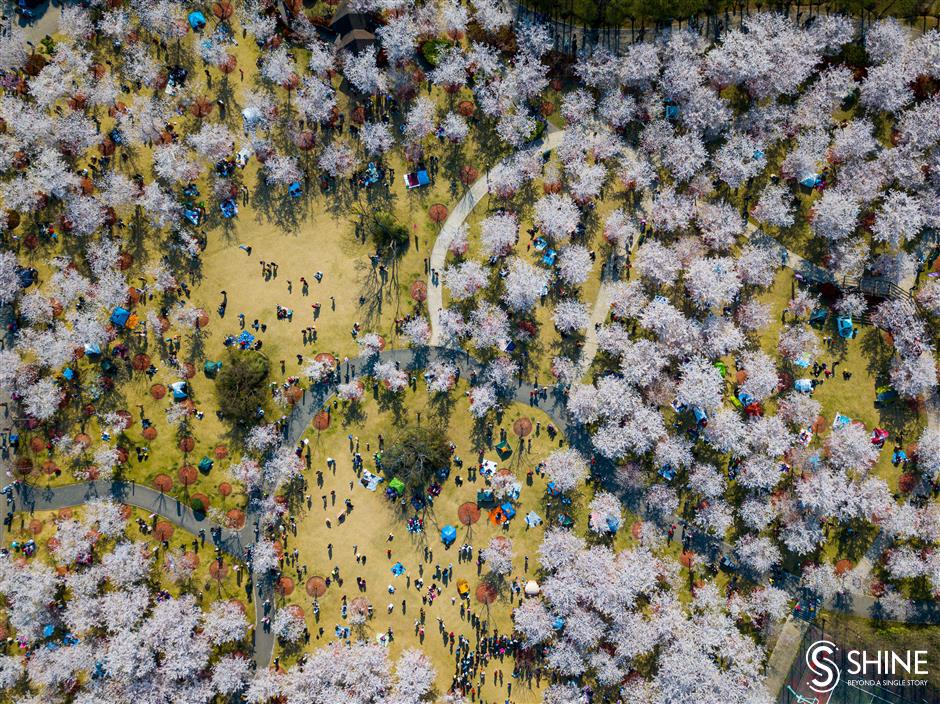 2019 through a photographer's lens