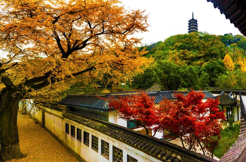 Investments strengthen links between Zhenjiang City and Shanghai
