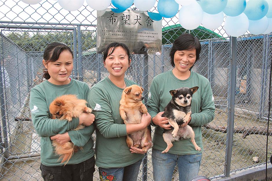 Pandemic inspires more compassion for animals in Wuhan