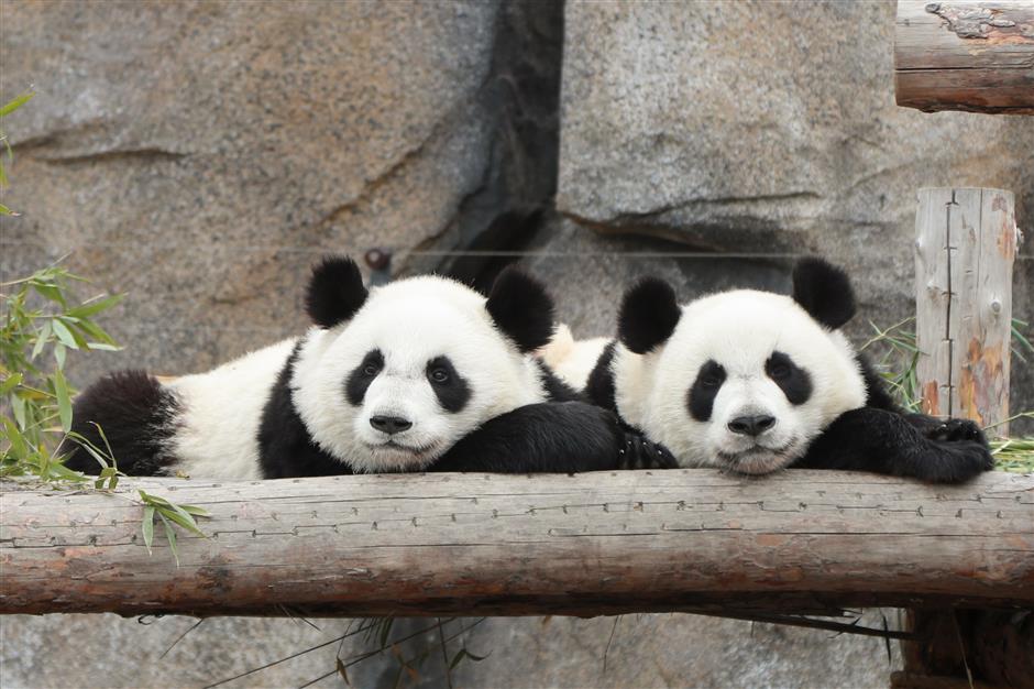 Attractions require negative tests, many parks closed to curb outbreak