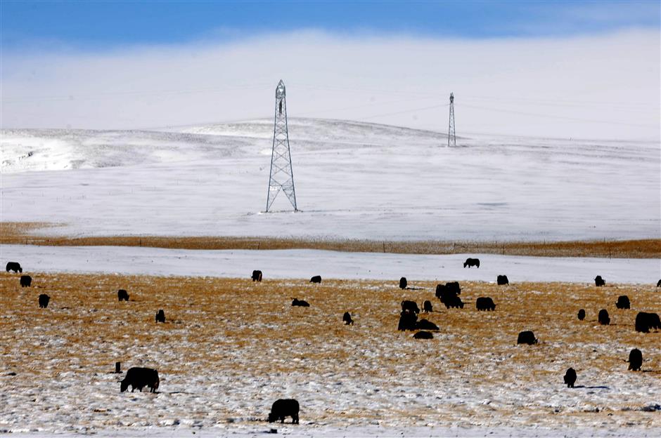 Roads over rough terrain epitomize building spirit