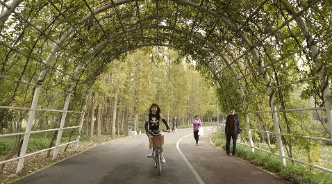 Cycle around the best autumn scenery in Changning