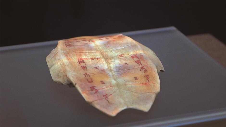 Oracle bone inscriptions showcase earliest writing system in China