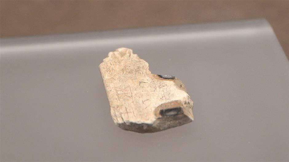 Oracle bone inscriptions showcase earliest writing system in China