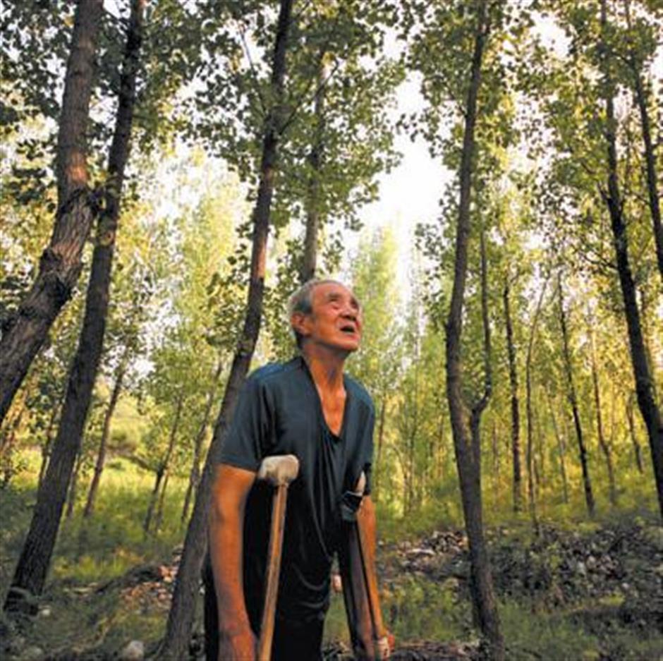 Forests forever: China's tree-planting heroes make the impossible possible