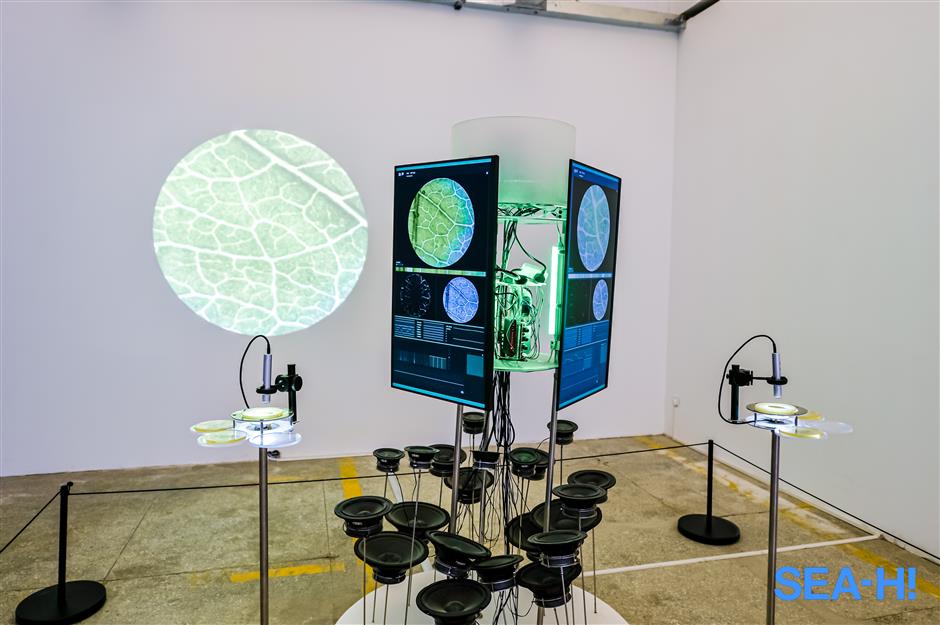 Shanghai's biodiversity highlighted at urban space art season